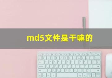 md5文件是干嘛的