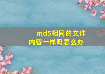 md5相同的文件内容一样吗怎么办