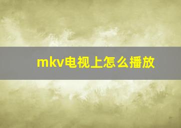 mkv电视上怎么播放