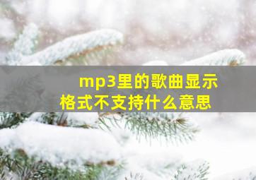 mp3里的歌曲显示格式不支持什么意思