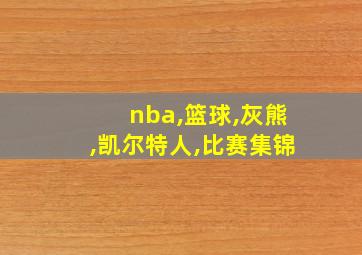 nba,篮球,灰熊,凯尔特人,比赛集锦