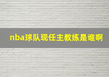 nba球队现任主教练是谁啊