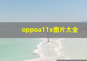 oppoa11x图片大全