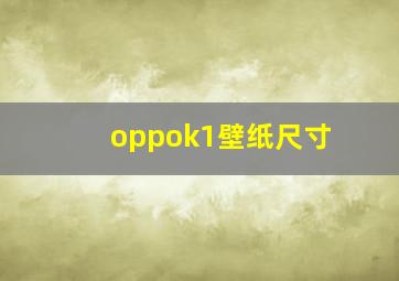 oppok1壁纸尺寸