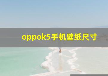 oppok5手机壁纸尺寸