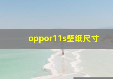 oppor11s壁纸尺寸