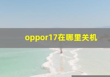 oppor17在哪里关机