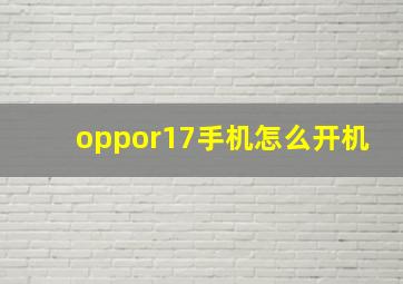 oppor17手机怎么开机