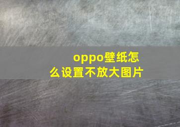 oppo壁纸怎么设置不放大图片