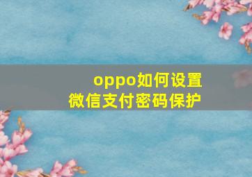 oppo如何设置微信支付密码保护