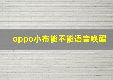 oppo小布能不能语音唤醒