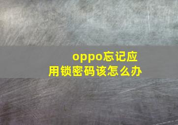 oppo忘记应用锁密码该怎么办