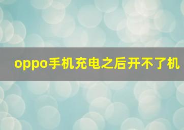 oppo手机充电之后开不了机