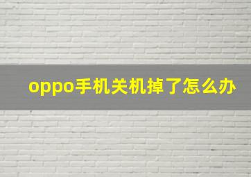 oppo手机关机掉了怎么办