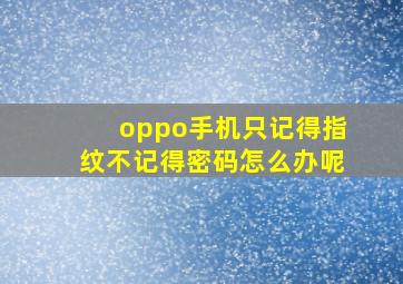 oppo手机只记得指纹不记得密码怎么办呢