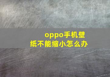 oppo手机壁纸不能缩小怎么办