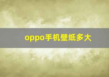 oppo手机壁纸多大