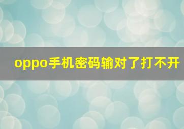 oppo手机密码输对了打不开