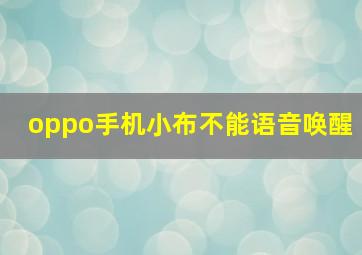 oppo手机小布不能语音唤醒