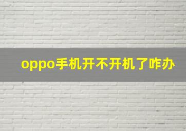 oppo手机开不开机了咋办