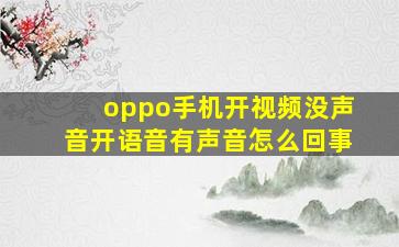 oppo手机开视频没声音开语音有声音怎么回事