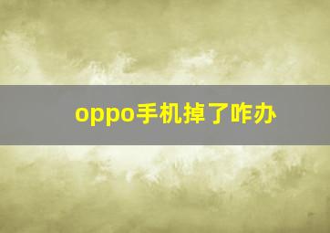 oppo手机掉了咋办