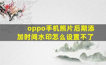 oppo手机照片后期添加时间水印怎么设置不了