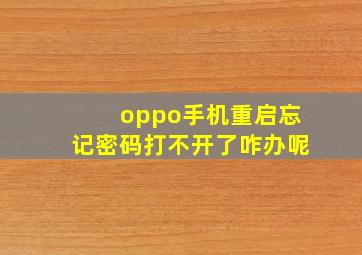 oppo手机重启忘记密码打不开了咋办呢