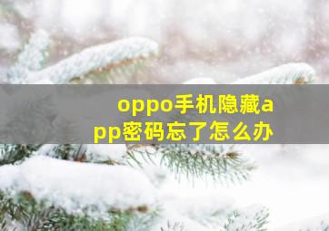 oppo手机隐藏app密码忘了怎么办