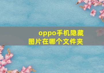 oppo手机隐藏图片在哪个文件夹