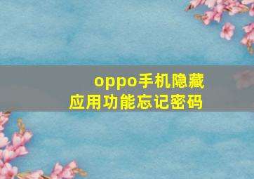 oppo手机隐藏应用功能忘记密码