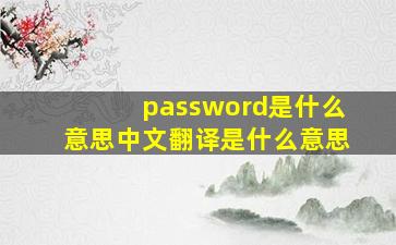 password是什么意思中文翻译是什么意思