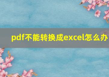 pdf不能转换成excel怎么办