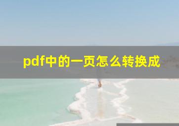 pdf中的一页怎么转换成