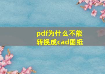 pdf为什么不能转换成cad图纸