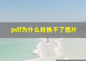 pdf为什么转换不了图片