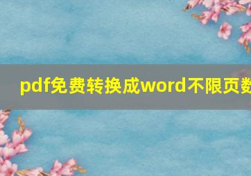 pdf免费转换成word不限页数