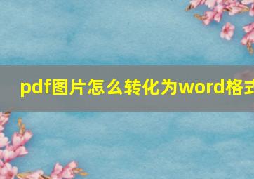 pdf图片怎么转化为word格式