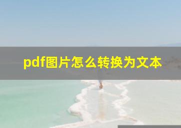 pdf图片怎么转换为文本