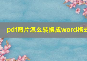 pdf图片怎么转换成word格式