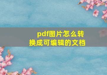 pdf图片怎么转换成可编辑的文档