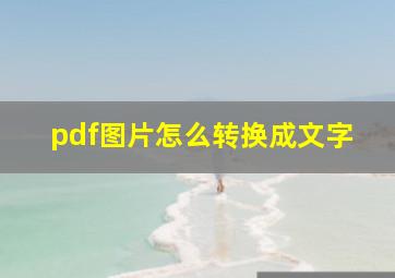 pdf图片怎么转换成文字