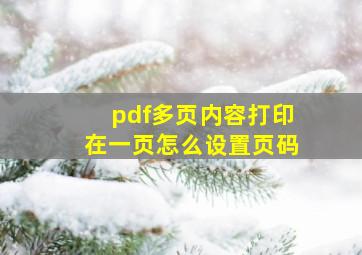 pdf多页内容打印在一页怎么设置页码