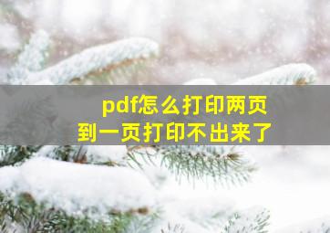 pdf怎么打印两页到一页打印不出来了