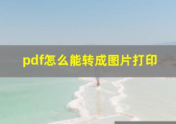 pdf怎么能转成图片打印