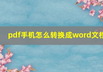 pdf手机怎么转换成word文档