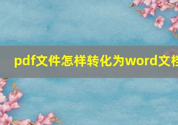 pdf文件怎样转化为word文档