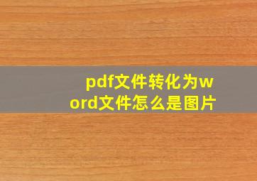 pdf文件转化为word文件怎么是图片