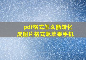 pdf格式怎么能转化成图片格式呢苹果手机