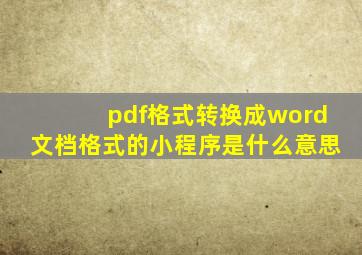 pdf格式转换成word文档格式的小程序是什么意思